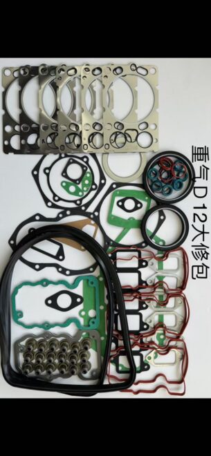 WD12 engine repair kits