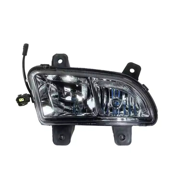 Front fog lights WG9719720025
